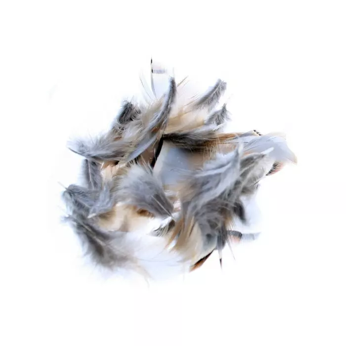 Veniards French Partridge 4 Veniards French Partridge - Image 2