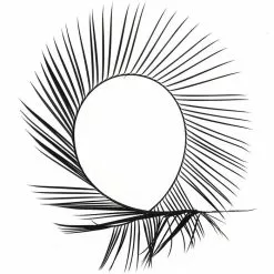 Veniards Goose Biots -Fly Tying Materials shop 13306.2