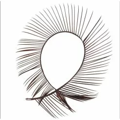 Veniards Goose Biots -Fly Tying Materials shop 13306.3