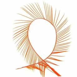 Veniards Goose Biots -Fly Tying Materials shop 13306.4