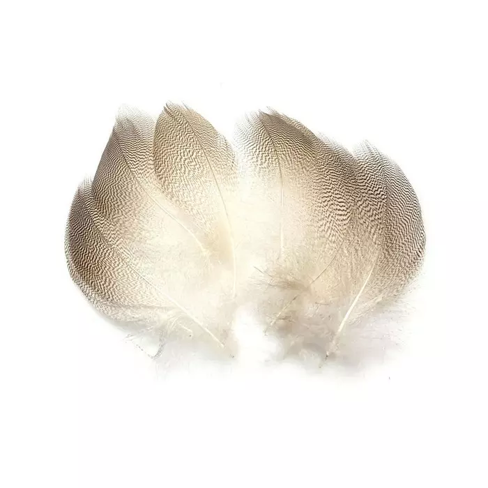 Veniards Mallard Flank 3 Veniards Mallard Flank