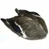 Veniards Mallard Wings -Fly Tying Materials shop 13316 40004375.1