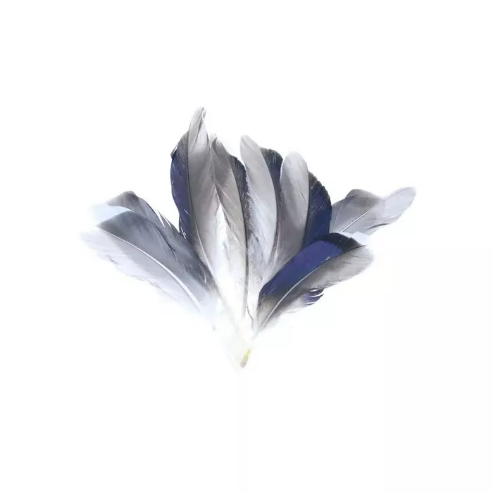 Veniards Mallard Butcher Blues 3 Veniards Mallard Butcher Blues