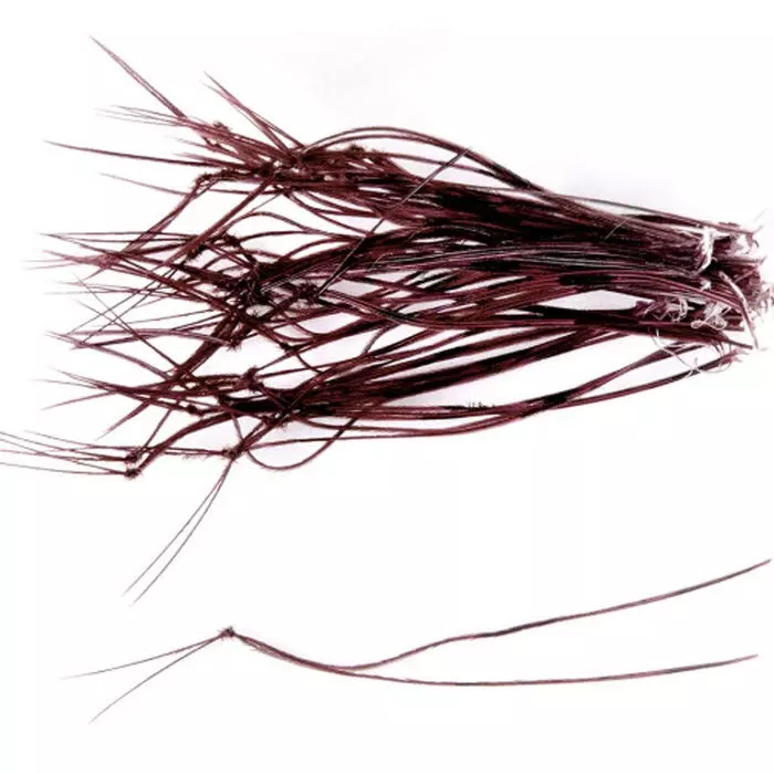 Veniards Hopper Legs 4 Veniards Hopper Legs - Image 2