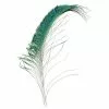 Veniards Peacock Sword Tails -Fly Tying Materials shop 13323 40004417.1