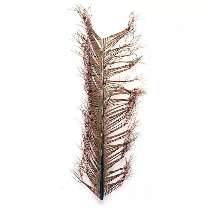 Veniards Pheasant Knotted Tail On The Quill 3 Veniards Pheasant Knotted Tail On The Quill