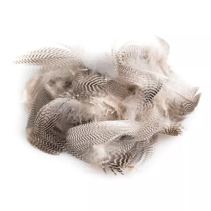 Veniards Teal Flank 3 Veniards Teal Flank