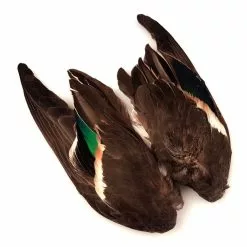 Veniards Teal Wings (Pair)