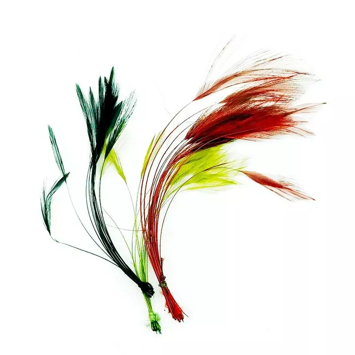 Veniards Stripped Quills 3 Veniards Stripped Quills