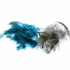 Veniards Guinea Fowl