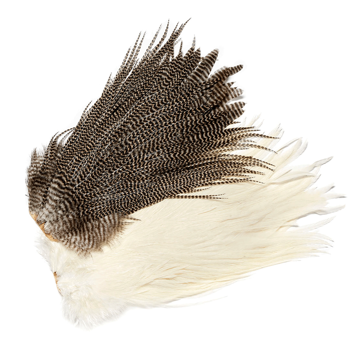 Veniards Genetic Cock Grade 1 Saddle Cape 3 Veniards Genetic Cock Grade 1 Saddle Cape