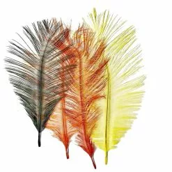 Franc N Snaelda Intruder Hackles