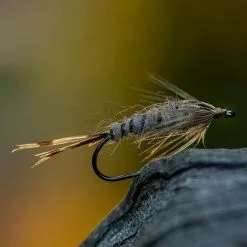 Ahrex FW530/FW531 Sedge Dry Hooks 12 Ahrex FW530/FW531 Sedge Dry Hooks -Fly Tying Materials shop 20a0139.6