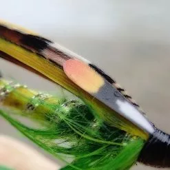 Semperfli Synthetic Jungle Cock -Fly Tying Materials shop 20b0083.2