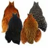 Whiting 4B Hen Capes -Fly Tying Materials shop 22a0090.1