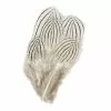 Veniards Silver Pheasant Feathers -Fly Tying Materials shop 23a0084.1