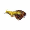 Veniards Golden Pheasant Whole Head Crest And Tippet 2 Veniards Golden Pheasant Whole Head Crest And Tippet -Fly Tying Materials shop 40004338.1