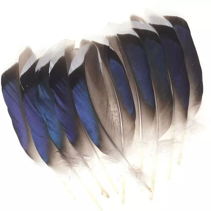 Veniards Mallard Butcher Blues 4 Veniards Mallard Butcher Blues - Image 2