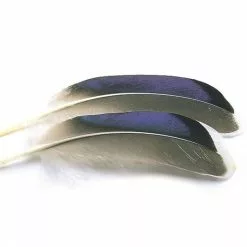 Veniards Mallard Butcher Blues 7 Veniards Mallard Butcher Blues -Fly Tying Materials shop 40004374.02