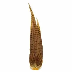 Veniards Pheasant Whole Tail