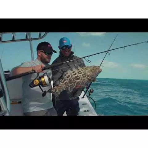 Penn Spinfisher VI Spinning Reel 4 Penn Spinfisher VI Spinning Reel - Image 2