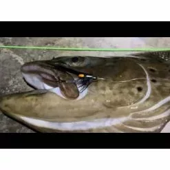 Semperfli Synthetic Jungle Cock -Fly Tying Materials shop hqdefault 28 14