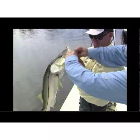 Rapala Sinking Magnum Lure 7 Rapala Sinking Magnum Lure - Image 5